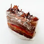 チョコの木(なんぺいの木)