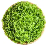 自由に選べるカスタムサラダ ※ミックスリーフとドレッシングのみでも対応できます。（Green×Greenアクアシティお台場店）