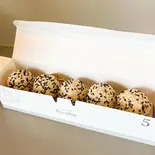 黒ごま団子5個入（ごま団子専門店Gu-cha 住吉大社店）