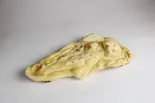 プレーンナン(NAAN)（インド定食ターリー屋 渋谷並木橋店）