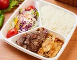 ミックスケバブ弁当 MİX Kebab Bento（ウスキュダル ケバブ）