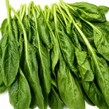 ほうれん草50g(菠菜)（にゃんこ麻辣烫住吉店 七福煎餅）