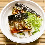 極!炙りトロ鯖丼(荒鮮景)