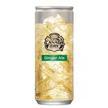 ジンジャーエール Ginger Ale（あずまや国領店）