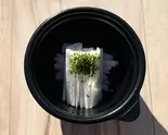 山芋の千切り Shredded yam（牛とスープの東大門市場 神楽坂店）