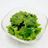 パクチー（エカマイ屋台）