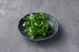 パクチー（中目黒カレー 明凛堂）