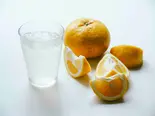 柑橘スカッシュ（ORANGE kikaki）