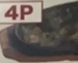 ハリヤリティッカ 4P（Taste Nepal）