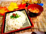 ピリ辛!坦々ダレつけきしめん!(冷)(おばんざいときしめん鯱)