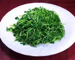 豆苗炒め(東城香)
