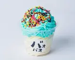 ミントチョコソフト(クレープ&ソフトクリーム バオバオ)