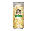 ジンジャーエール250ml(HORECA)（モンスターグリル 五反田店）