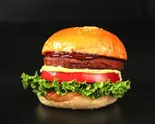 プラントベースドビーフバーガー Soybean Burger(SHOGUN BURGER 横浜赤レンガ倉庫店)