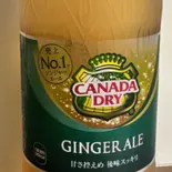 ジンジャーエール 500ml（ダナパニ）