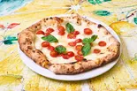 【PZ-16】D.O.C (ドック)（タランテッラ ダ ルイジ (TARANTELLA da luigi)）