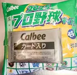 『大人気』プロ野球チップス（野球食堂グランドスラム）