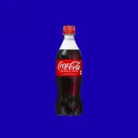 コカコーラ500ml（インド。アジアン料理ダナパニ光が丘店）