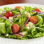 グリーンサラダ(Green salad)（スパイスガーデンタメル）
