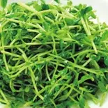 豆苗炒め（中華料理美膳房）