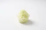 キャベツ(単品)(豚とんトーキョーとんかつ東大島店)