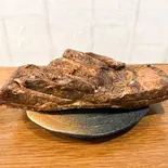 【店長のオススメ】ブロックチャーシュー 竹（ラーメン葫にんにく）