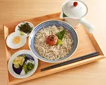 焼き梅&釜揚げしらすなだし茶漬け(雅なだし)