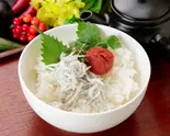 【出汁香る】釜揚げしらすと紀州梅のお茶漬け（出汁香る・京茶漬け専門処まみれ 心斎橋店）