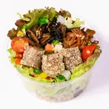 テンペカツ玄米ちらし寿司(小)（玄米のおすしテック 新大阪本店）
