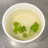 鶏スープซุปไก่(PINTO)