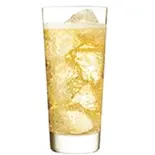 ジンジャーエール(GingerAle)（インド・ネパール料理 ロードブッダ 大森店）