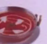 サイバニール（Taste Nepal）
