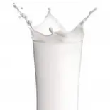ミニラッシーMini Lassi（インド料理神奈川カレーハウス）