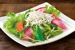 しらすサラダ(和食めん処サガミ 尼崎医療センター前店)