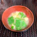 味噌汁（和 蔦次郎）