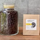 コロンビア ヴィジャ ファティマ ブルボン(中深煎り)(100g+デリバリー限定10%増量)COLOMBIA- Villa Fatima Bourbon(Ammonite Coffee Market 早稲田)