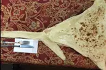 バターナン Butter Naan（アジアンレストラン8848）