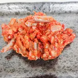 チャンジャ 1パック80g(焼肉食材店 ふじた)