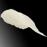 えんがわ（すし魚銀 JR千葉駅前店）