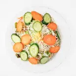 グリーンサラダ Green Salad（DELHI）