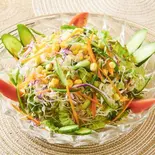 グリーンサラダ Green Salad（インドアジアンレストランバガィチャ）