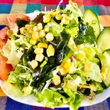 グリーンサラダ Green Salad（インド料理 ニューメズバーン）