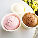 アイスクリーム(森のケーキ屋どんぐり)