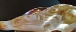 プレーンナン PLANE NAAN（YABIN）