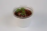 大珍牛すじボウル（大珍厨房）