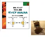 ザンビア AAA 500g (コーヒー豆)（コーヒーロースタリーセルバ）
