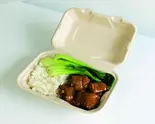 麻辣煮込み弁当  猪脚饭便当（山一厨房）