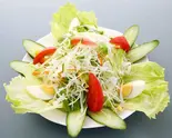 グリーンサラダ・Green Salad（インド料理神奈川カレーハウス）