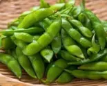 枝豆 green soybeans（居酒屋亀屋 博多店）