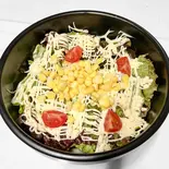 サラダうどん（元祖 どないや 六本木店）